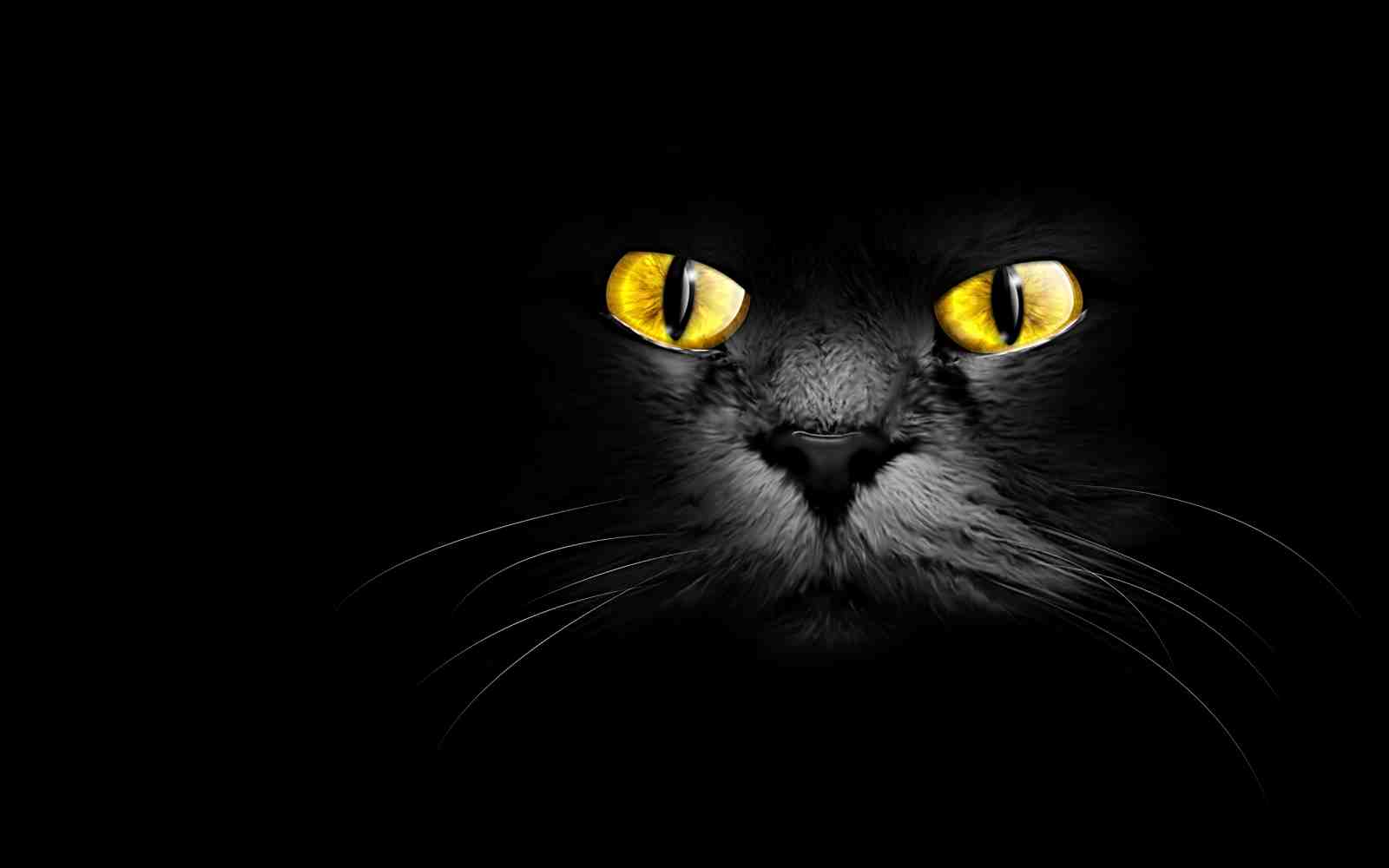 Mystic Black Cat Yellow Eyes Wall Art