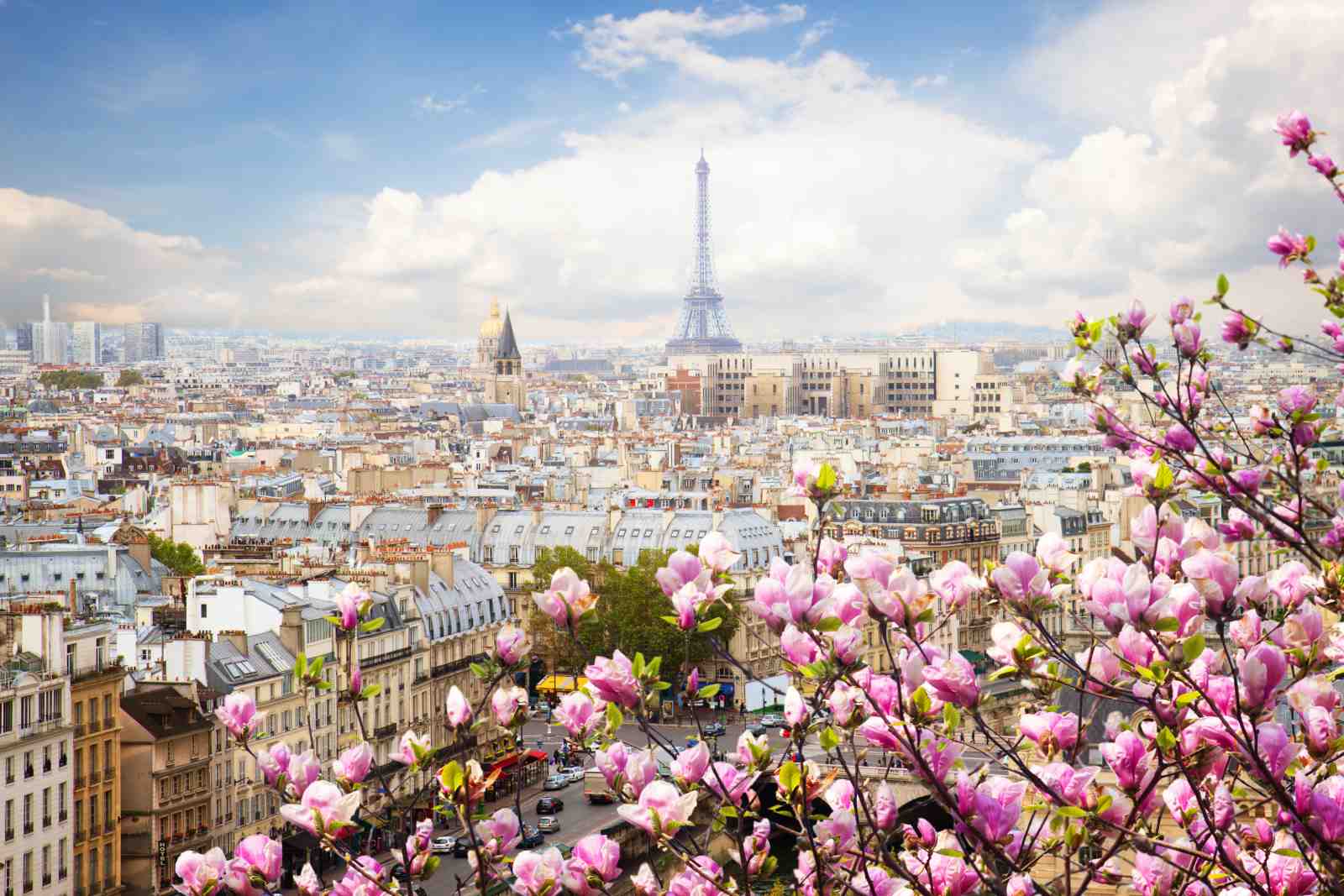Parisian Spring Eiffel Tower Wall Art