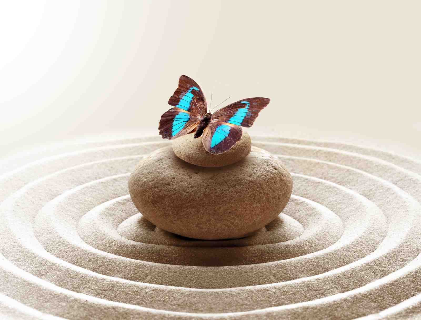 Zen Butterfly Meditation Stones Wall Art