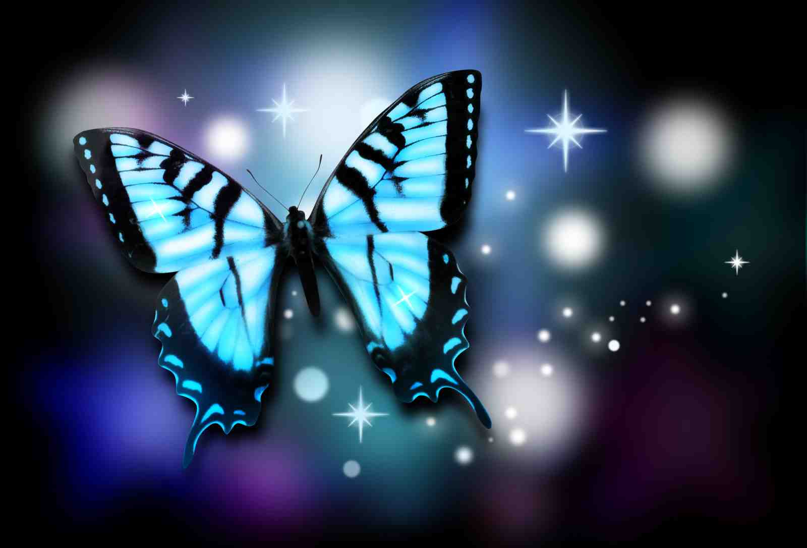 Enchanting Blue Butterfly Wall Art Wall Art