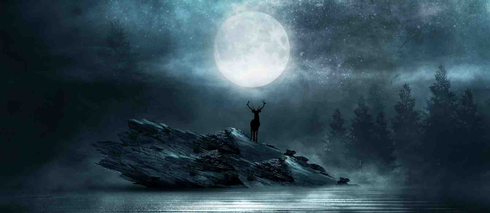 Mystic Stag Moon Forest Wall Art