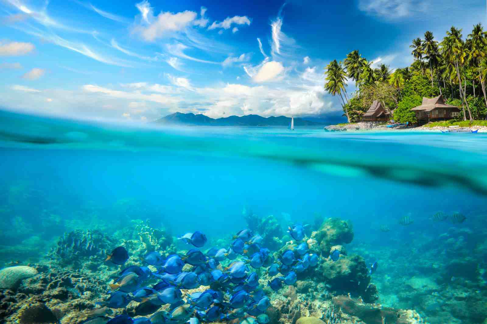 Tropical Paradise Underwater Scene Wall Art