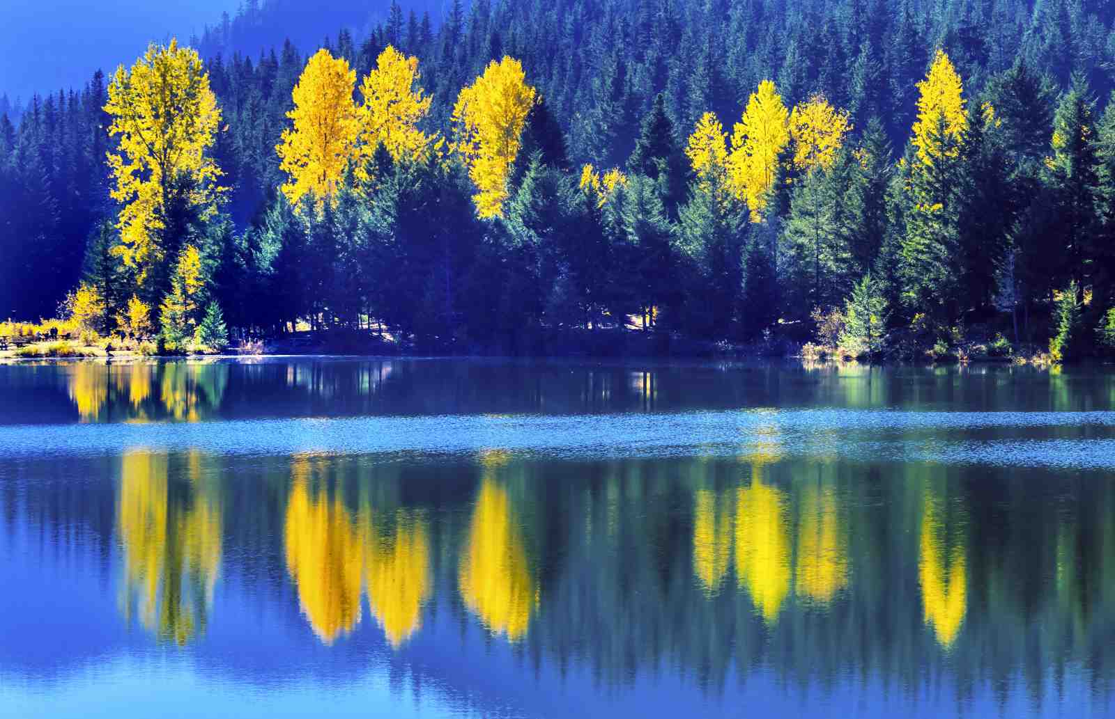 Vibrant Autumn Lake Reflections Wall Art