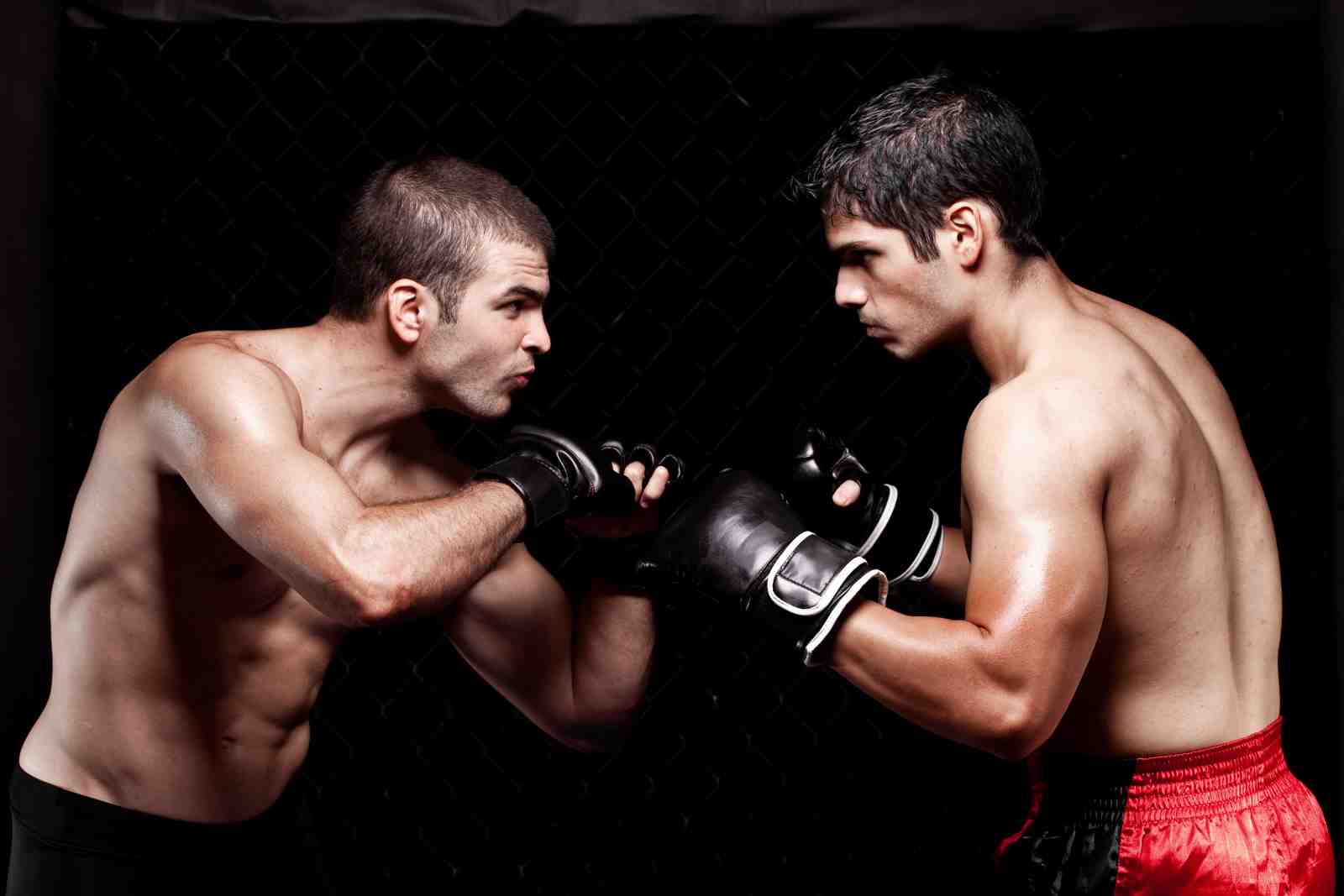 Intense MMA Fighter Stare Down Wall Art