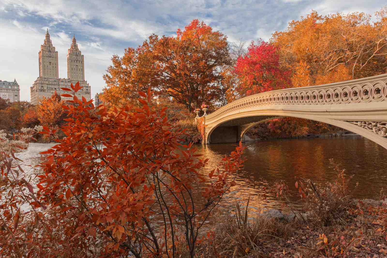 Central Park Autumn Bridge Wall Art