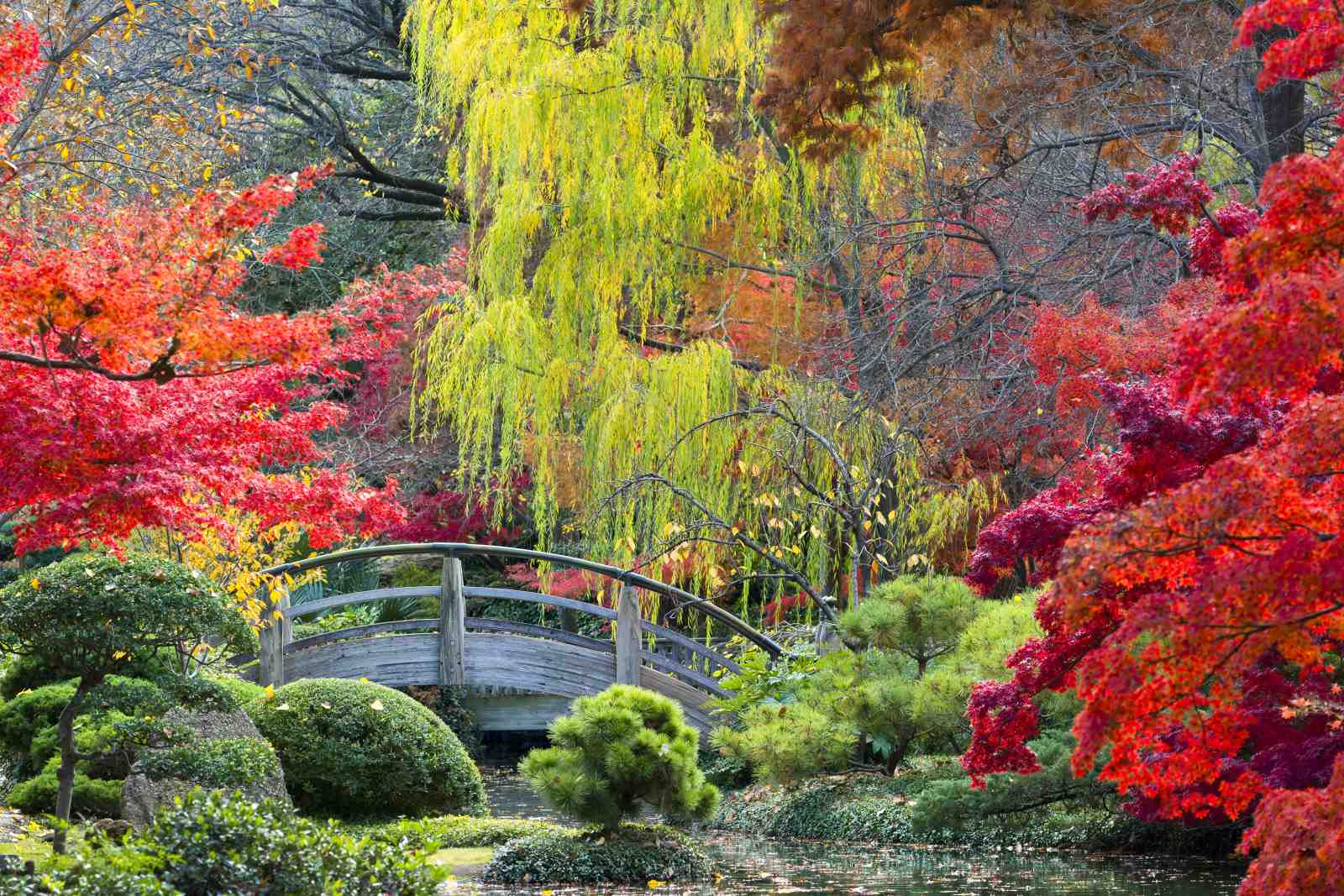 Vibrant Autumn Garden Bridge Wall Art
