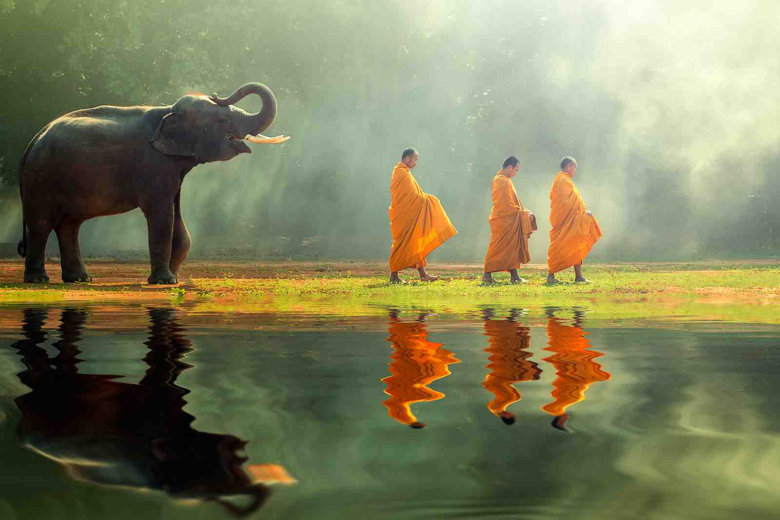 Serene Elephant & Monks Journey Wall Art