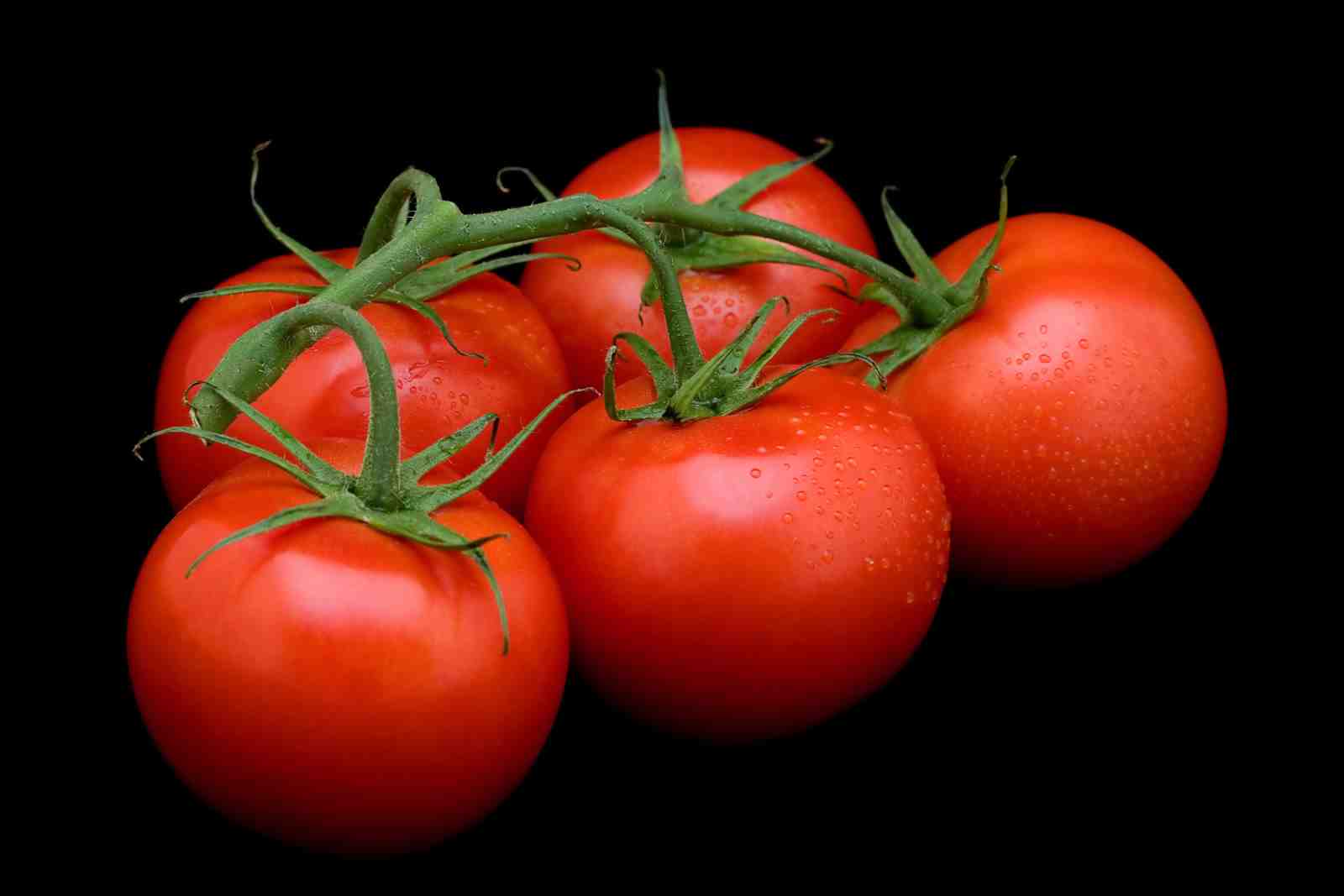 Vibrant Vine Tomatoes Art Wall Art