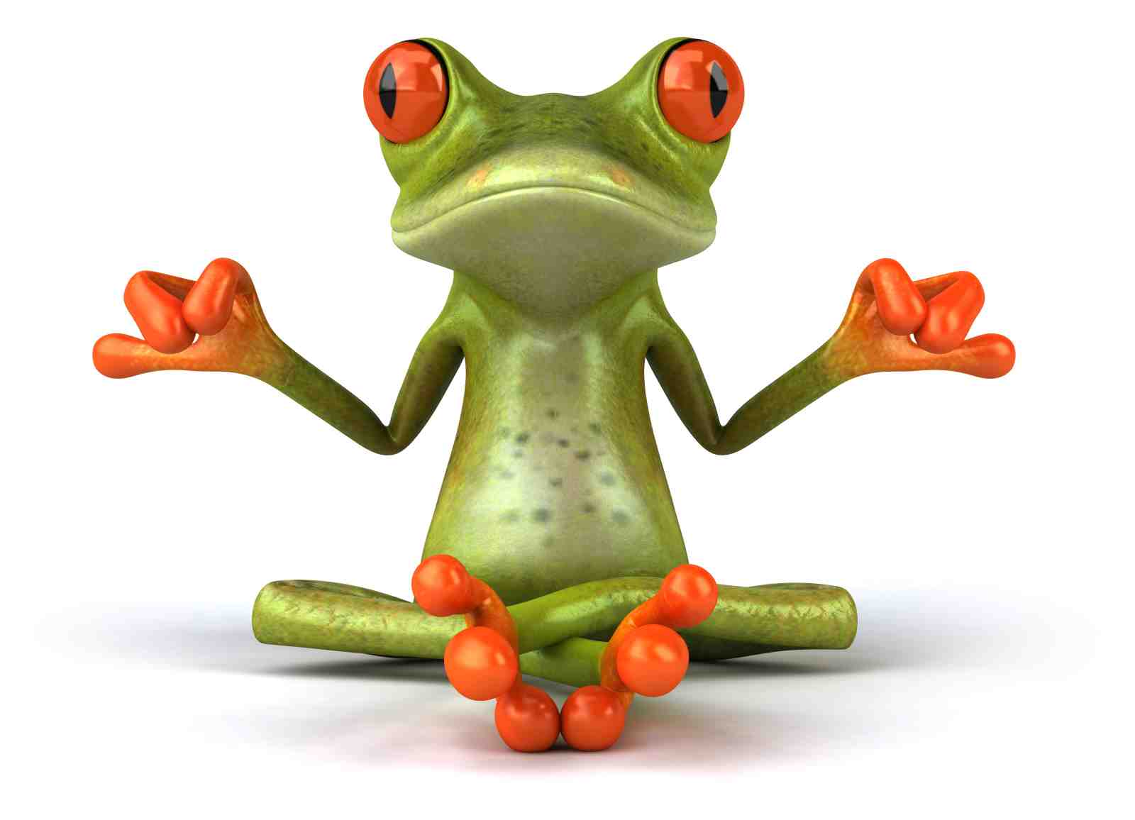 Zen Frog Yoga Meditation Wall Art