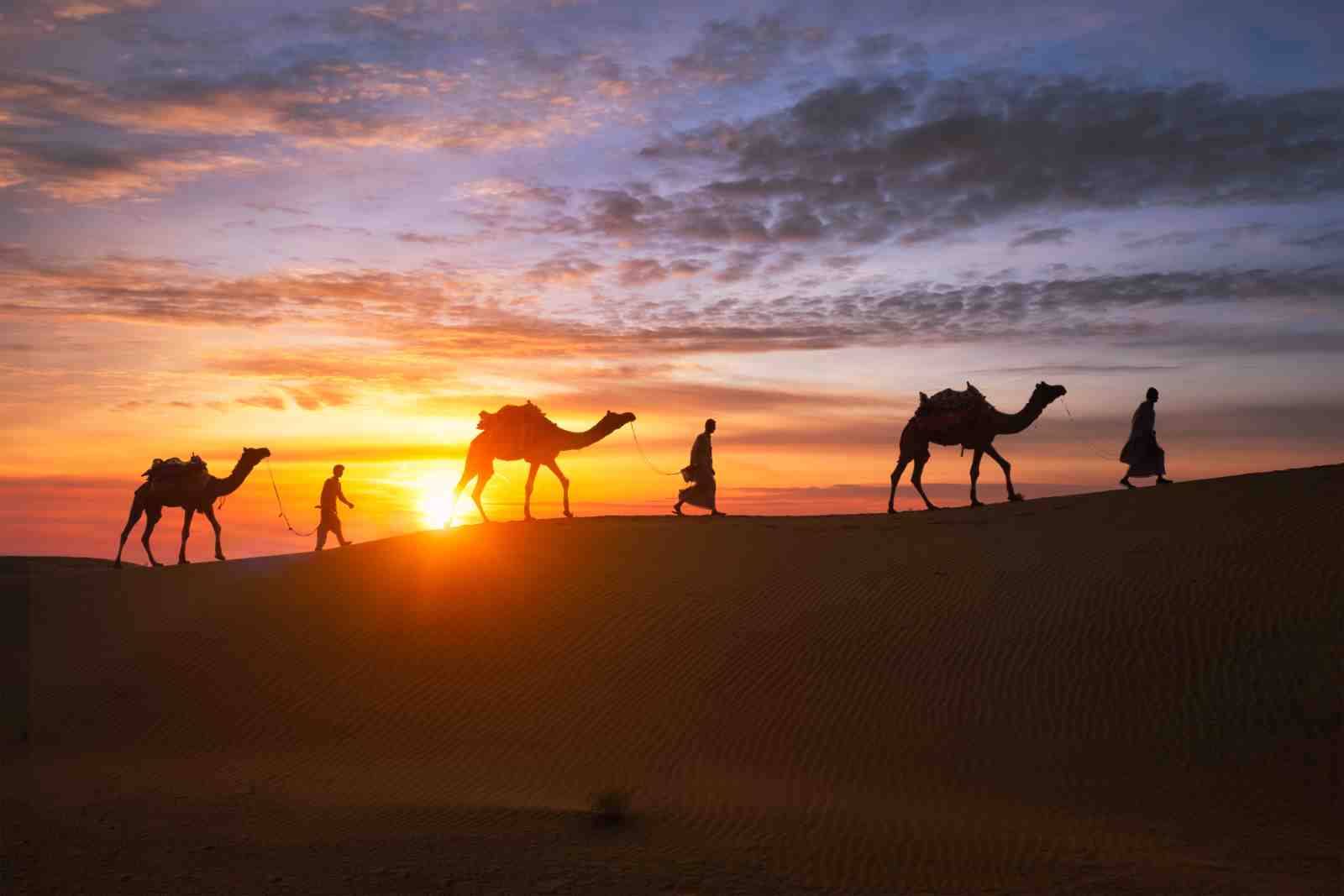 Desert Caravan Sunset Camel Ride Wall Art