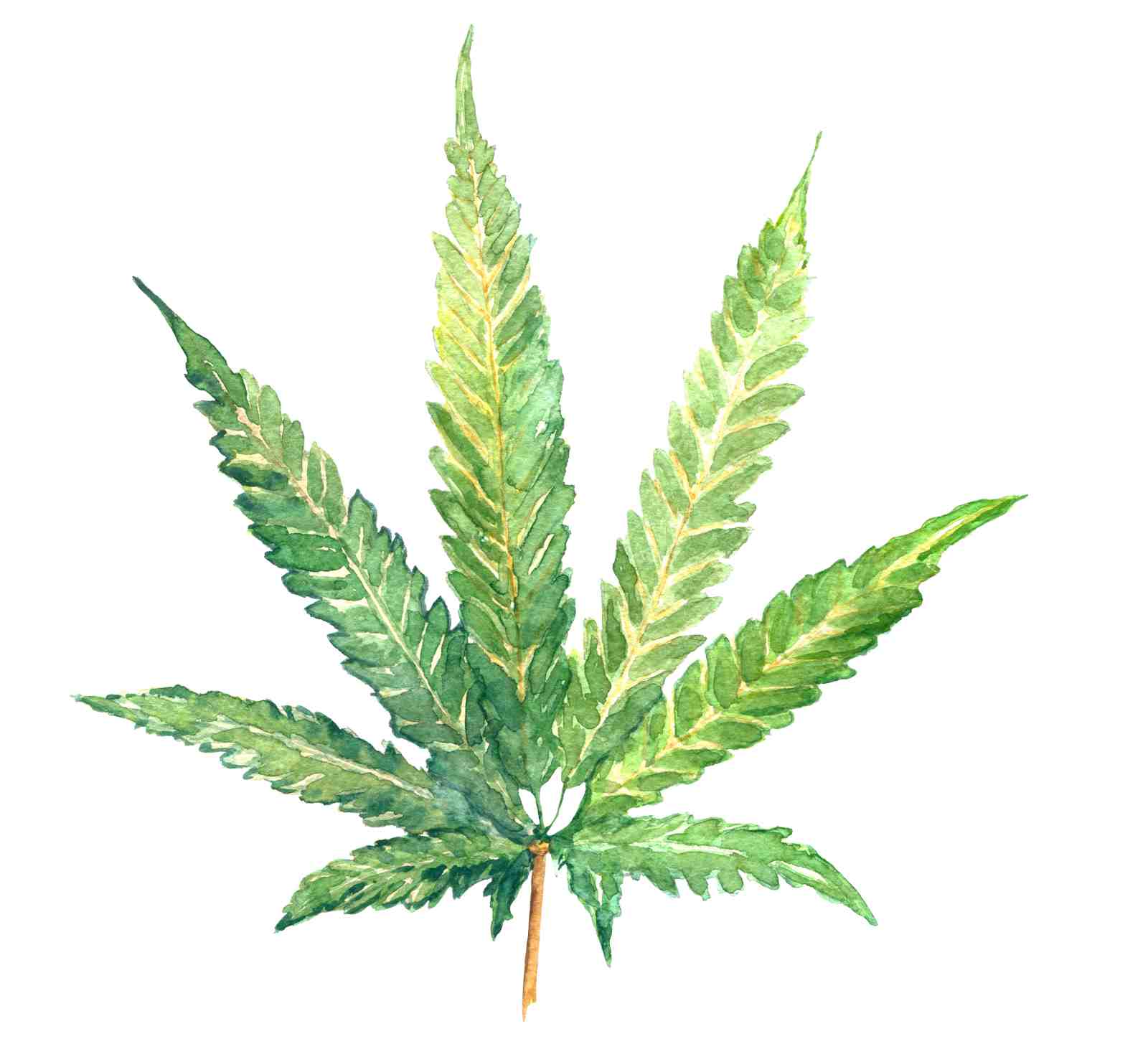 Botanical Green Leaf Watercolor Wall Art