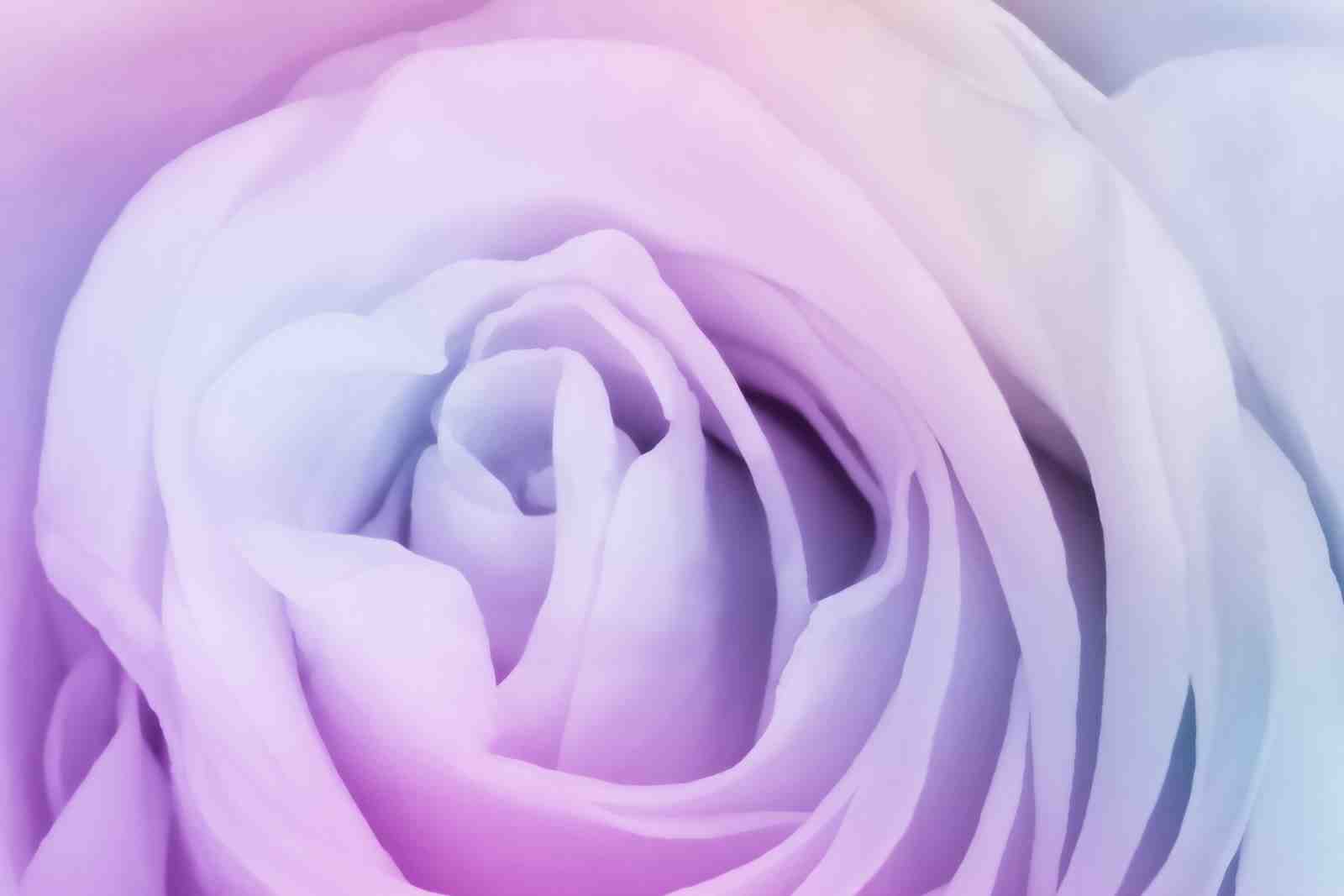 Dreamy Rose Gradient Pastel Wall Art