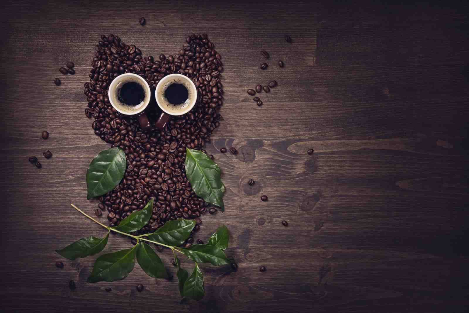 Whimsical Owl Coffee Art Wall Art