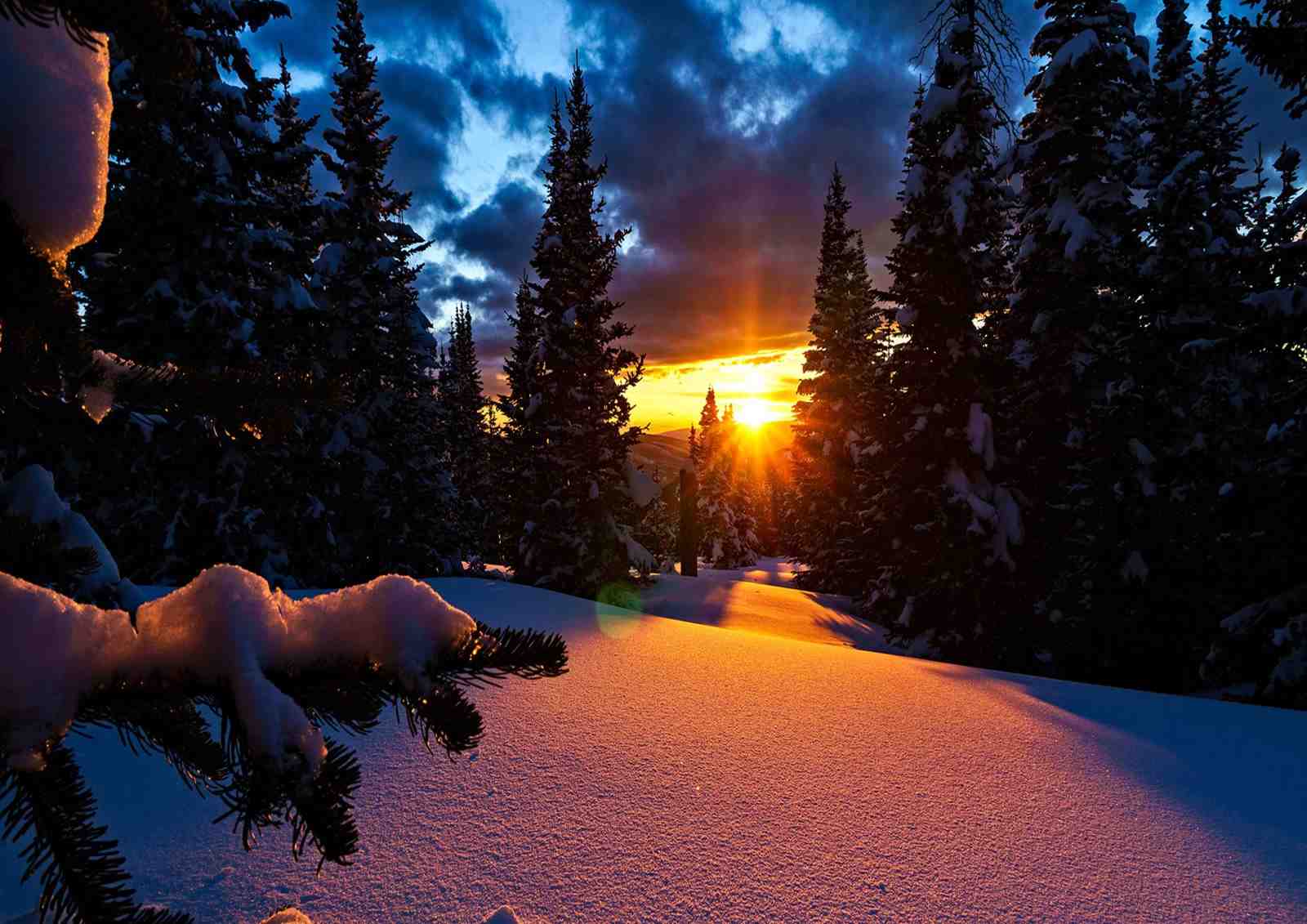 Winter Sunset Forest Landscape Wall Art