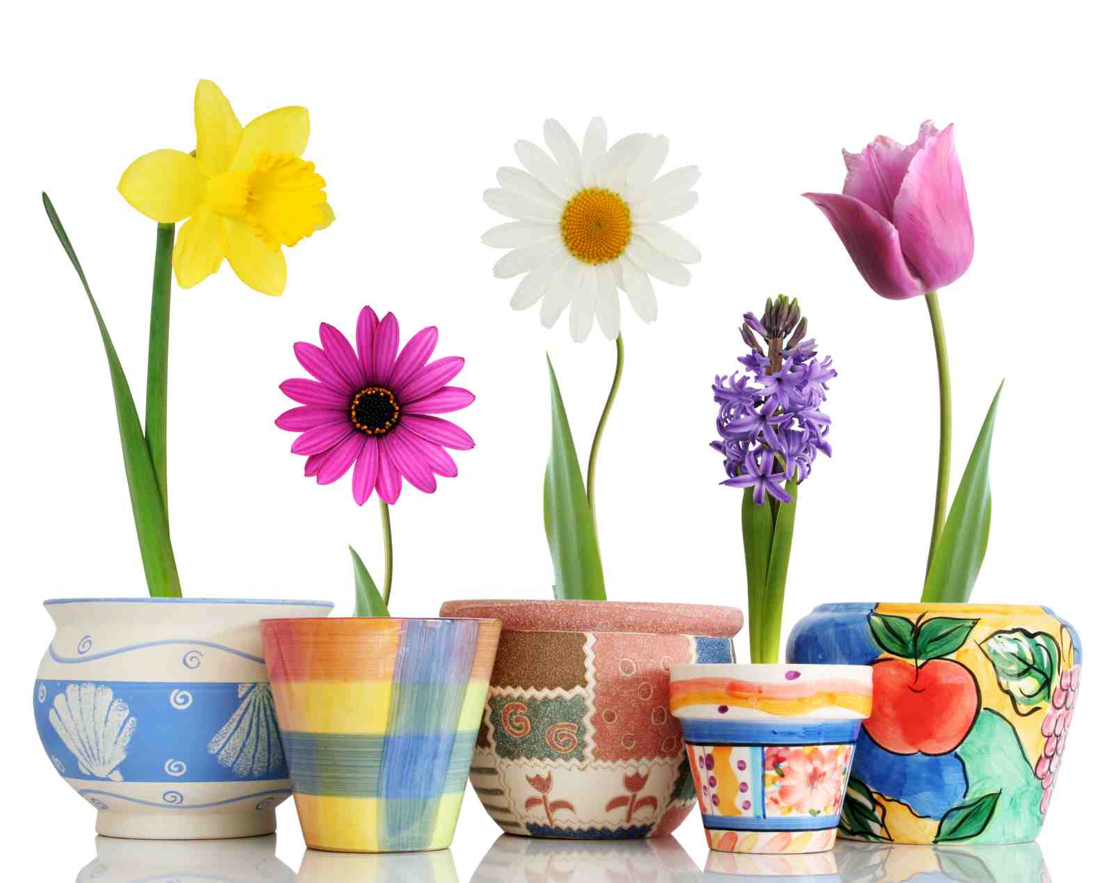 Vibrant Spring Flowers Art Wall Art