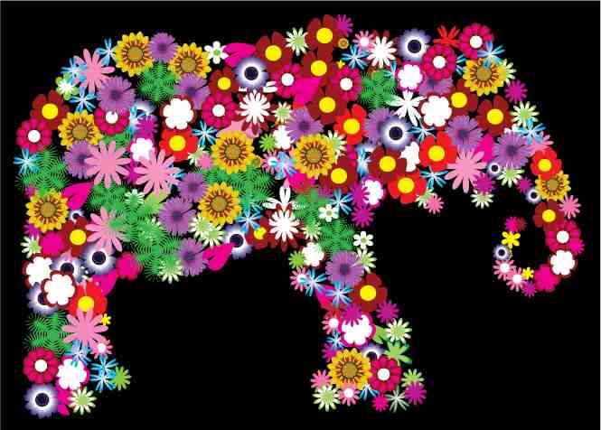 Vibrant Floral Elephant Wall Art