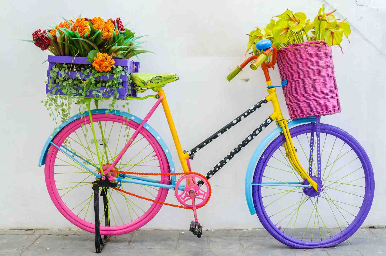 Vibrant Floral Bicycle Wall Art