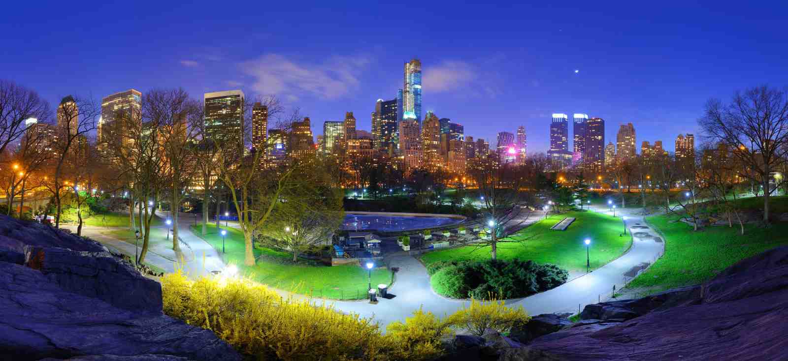 NYC Central Park at Night Skyline Wall Art