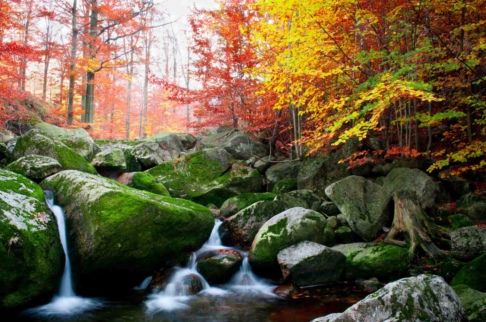 Autumn Forest Waterfall Vibrant Colors Wall Art