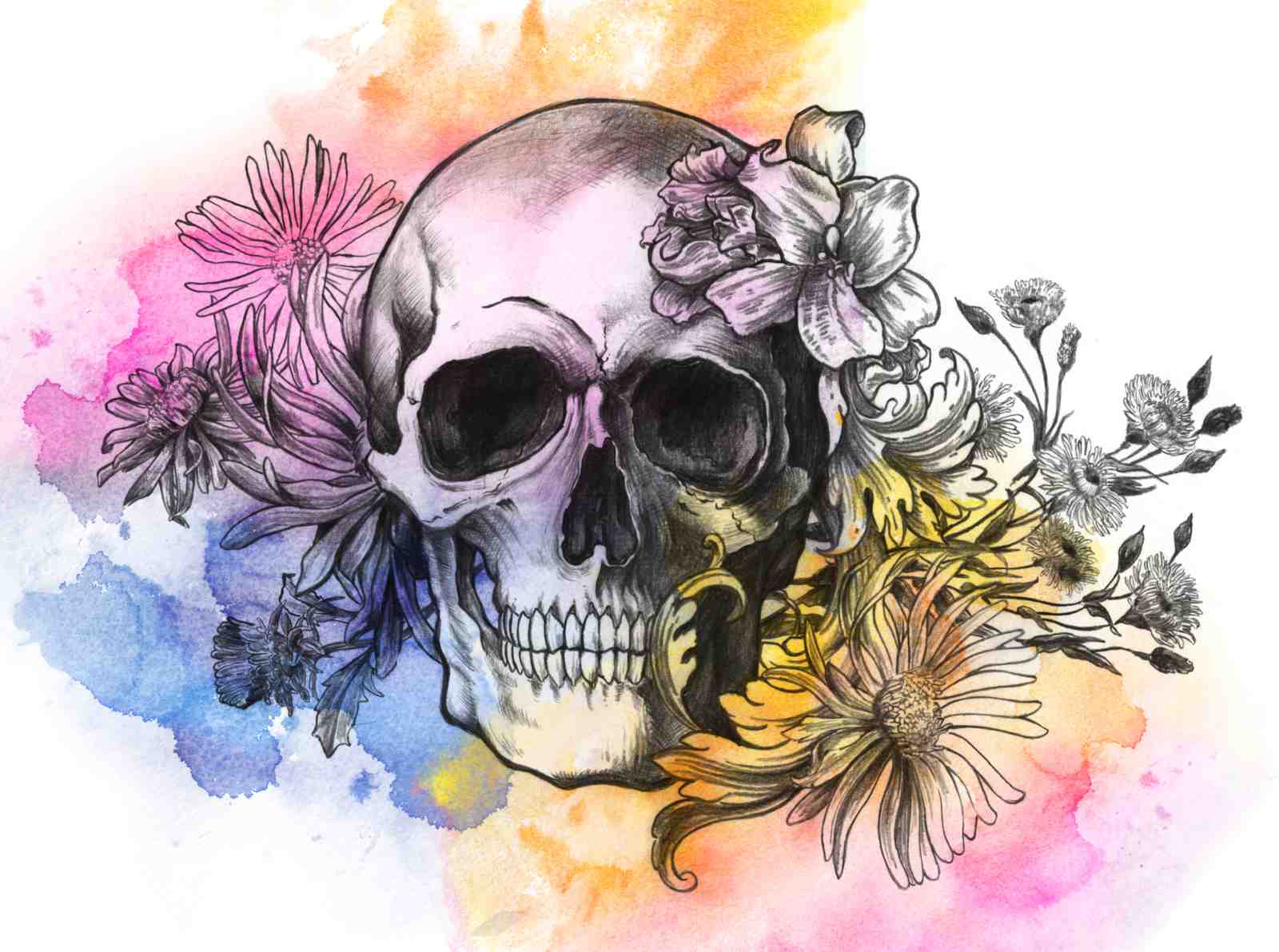 Floral Skull Watercolor Wall Art Wall Art