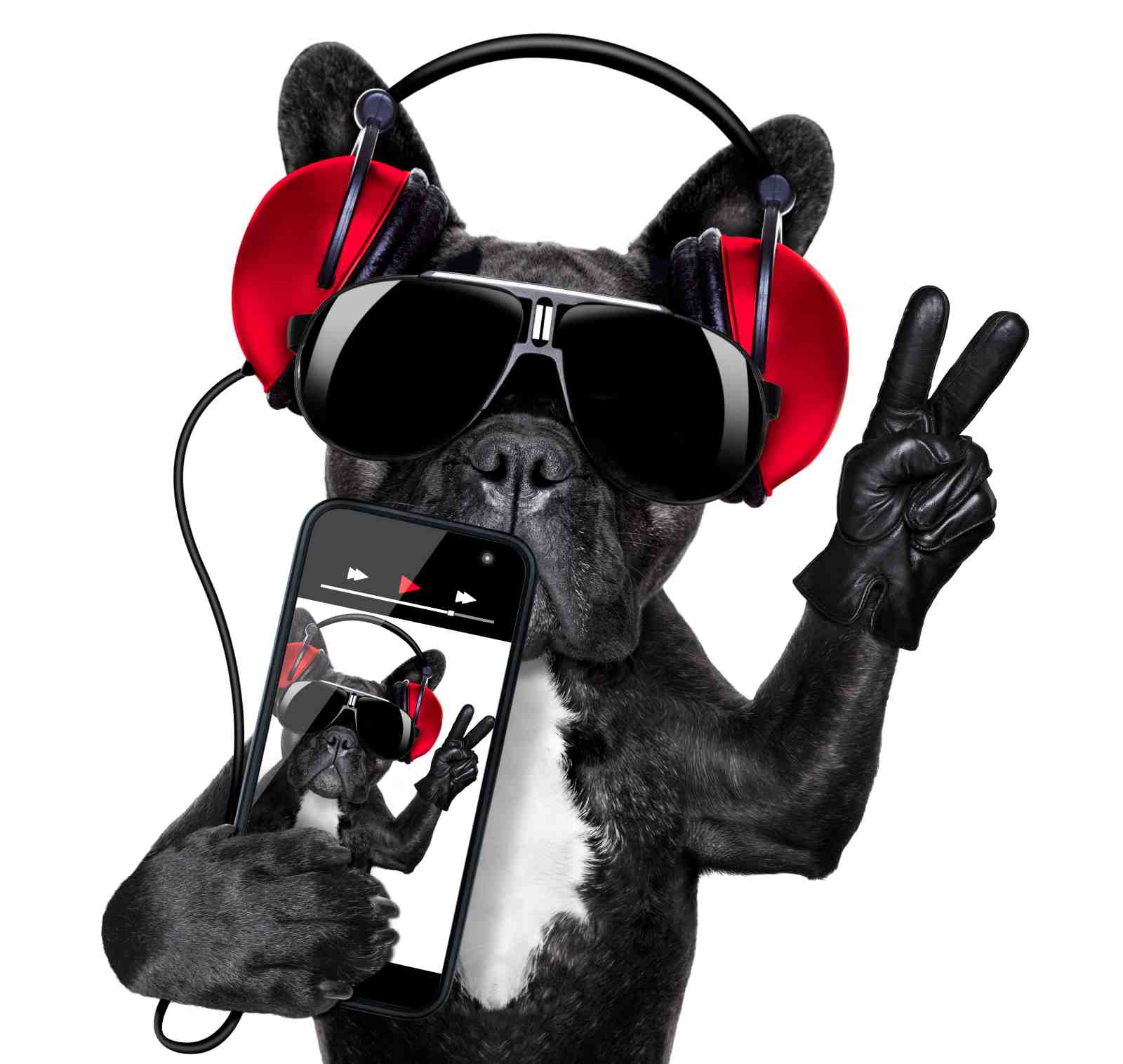 Cool French Bulldog DJ Vibes Wall Art
