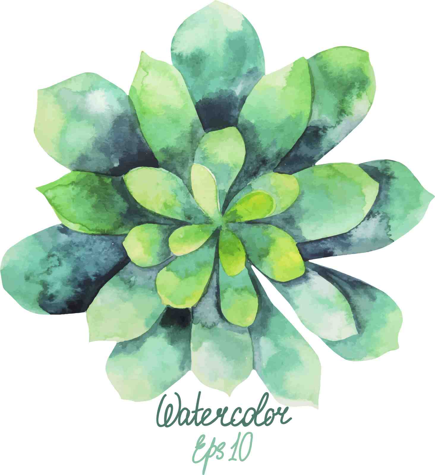 Green Succulent Watercolor Wall Art Wall Art