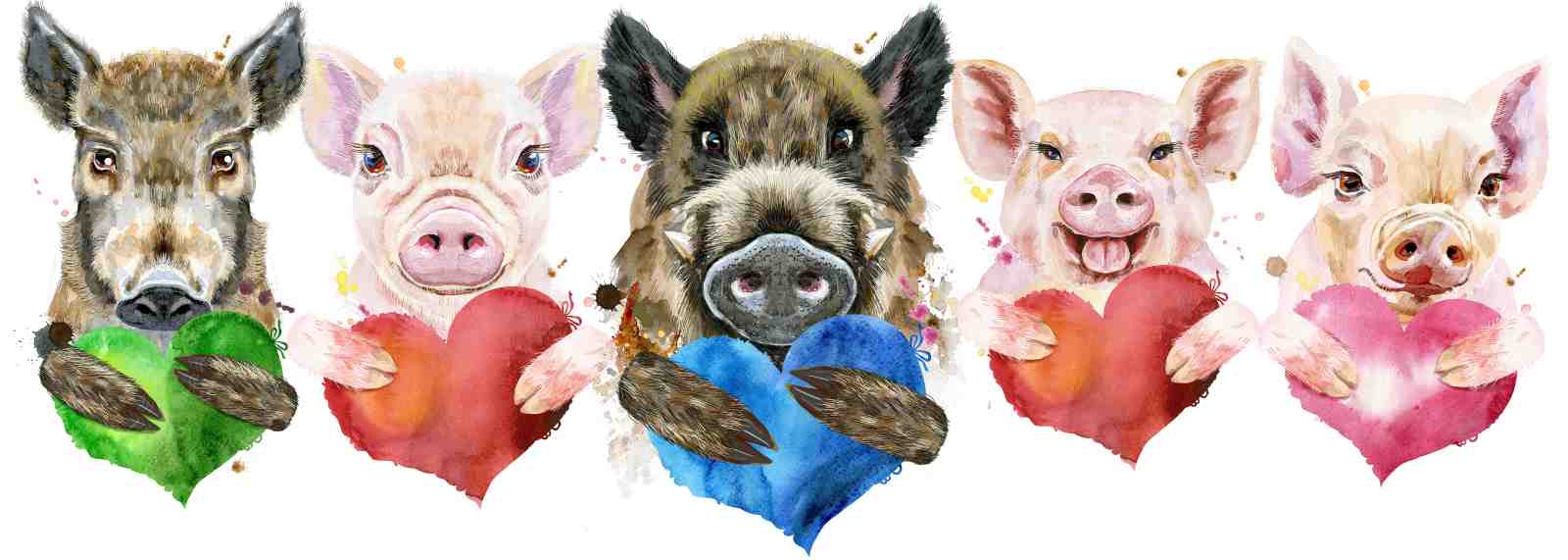 Charming Pigs with Hearts Watercolor Wall Art