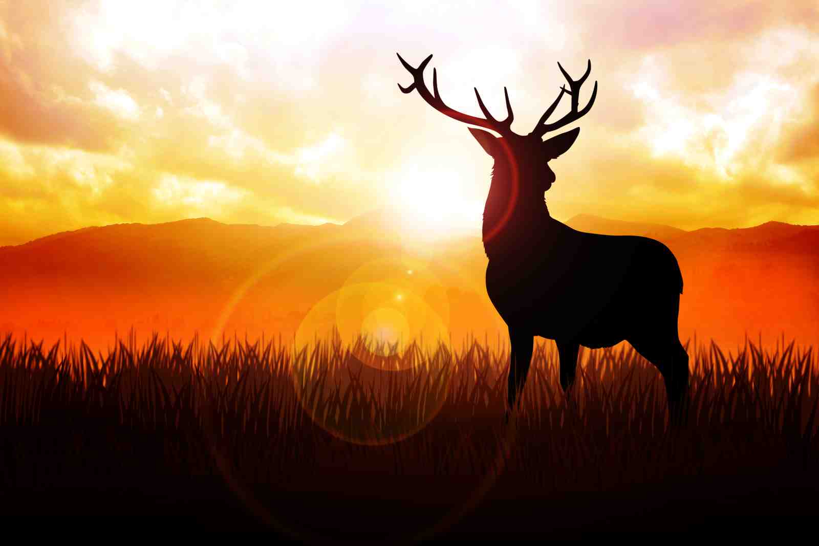 Majestic Stag Sunset Silhouette Wall Art
