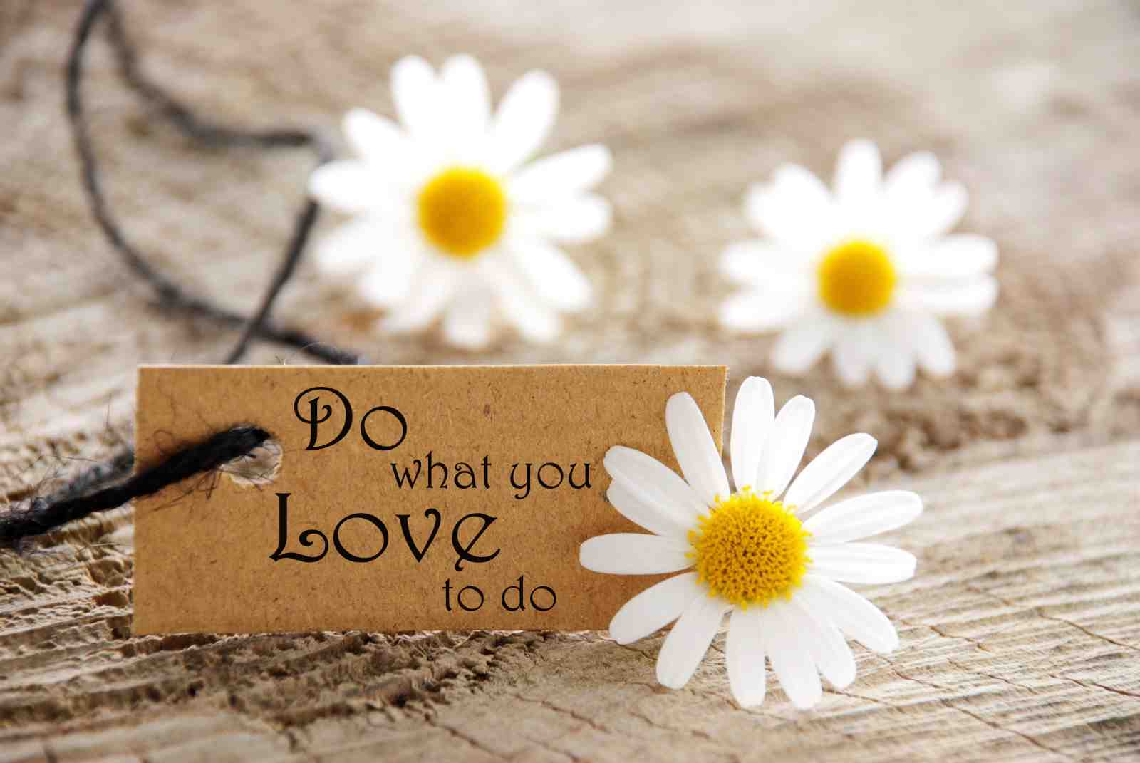 Inspirational Daisy "Do What You Love" Wall Art