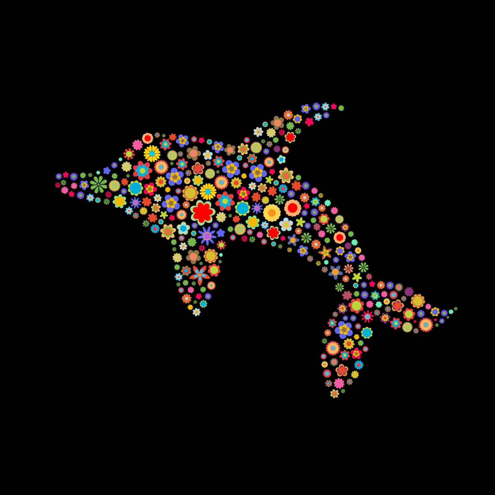 Vibrant Floral Dolphin Wall Art - Ocean Art