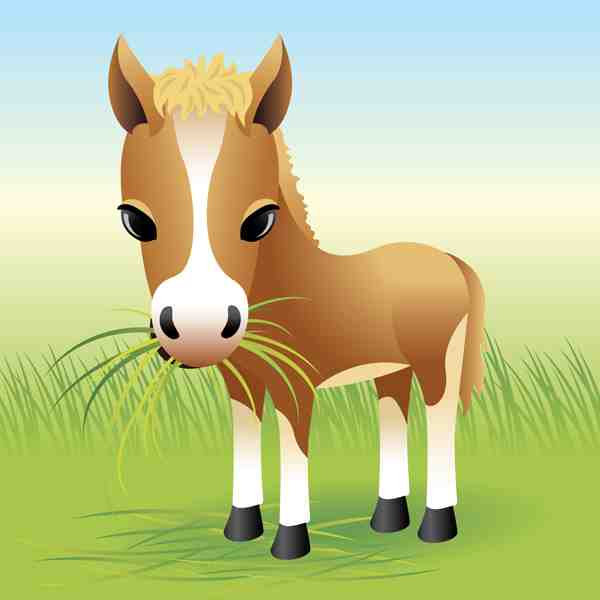 Adorable Foal Grazing Grass Wall Art