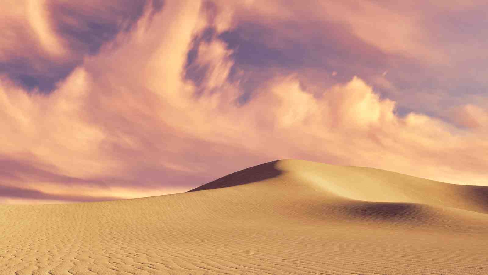 Desert Dune Serenity Landscape Wall Art
