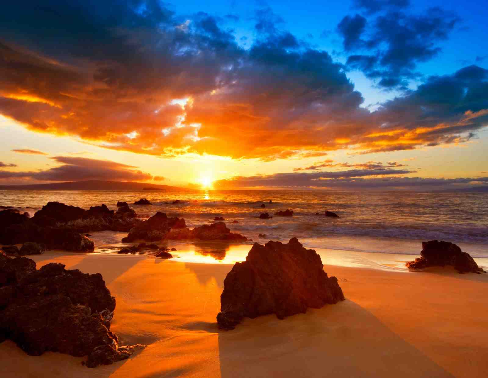 Golden Sunset Beach Tropical Island Wall Art