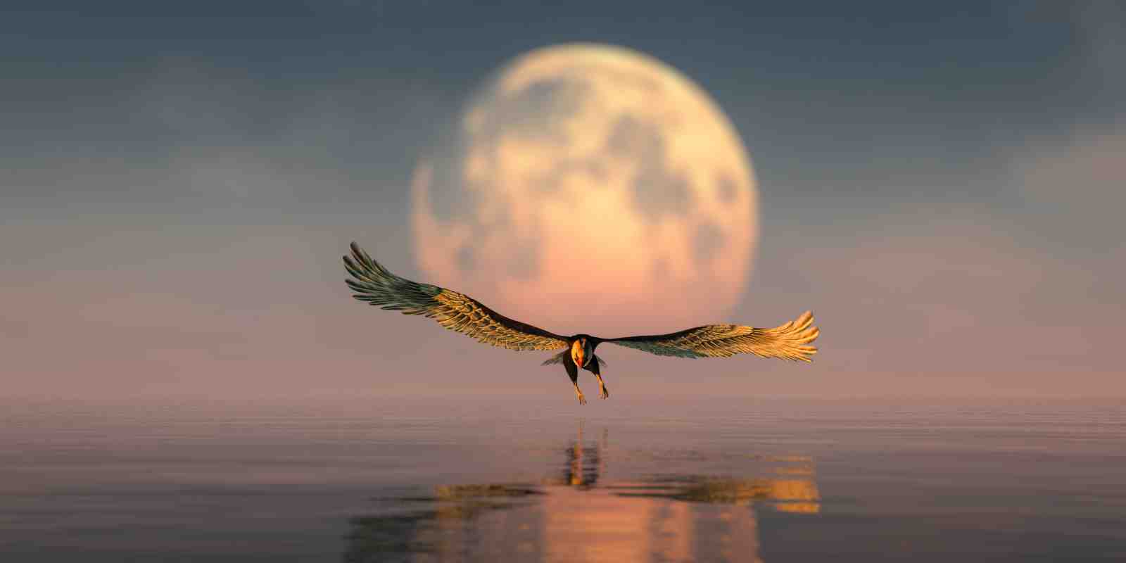 Majestic Eagle Sunset Flight Wall Art