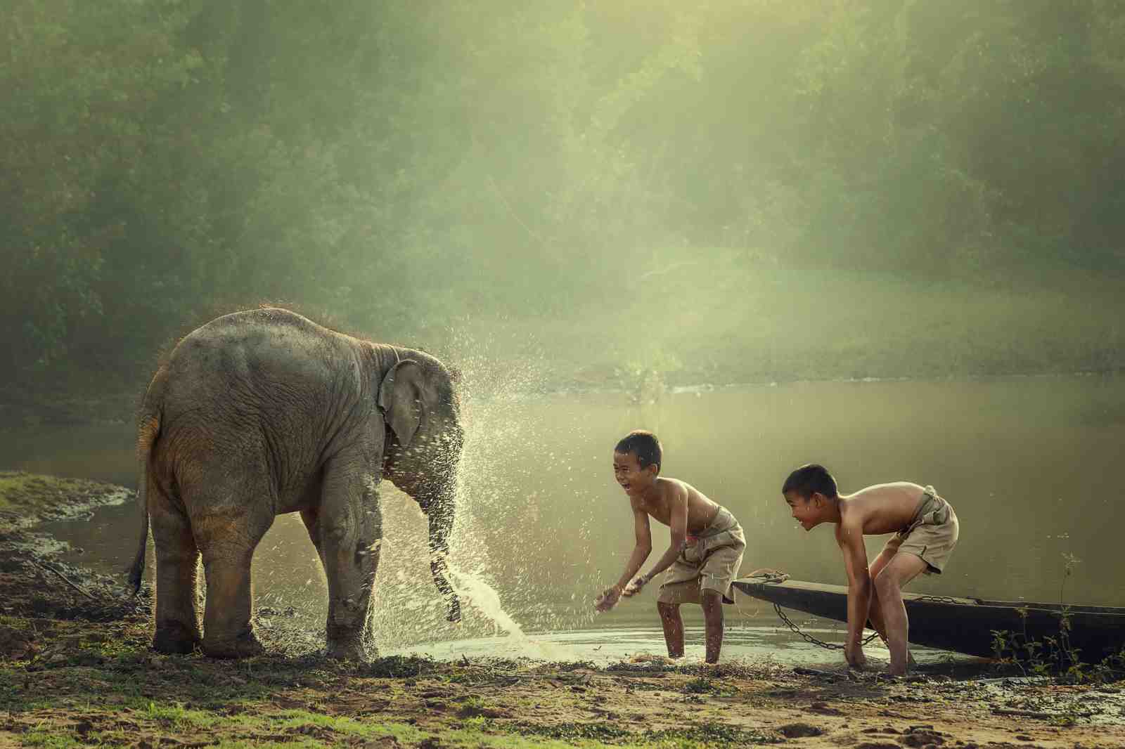 Joyful Elephant & Kids Wildlife Adventure Wall Art