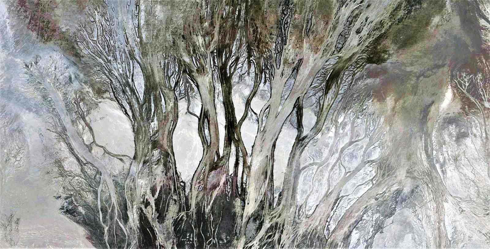 Abstract Trees & Nature Landscape Wall Art