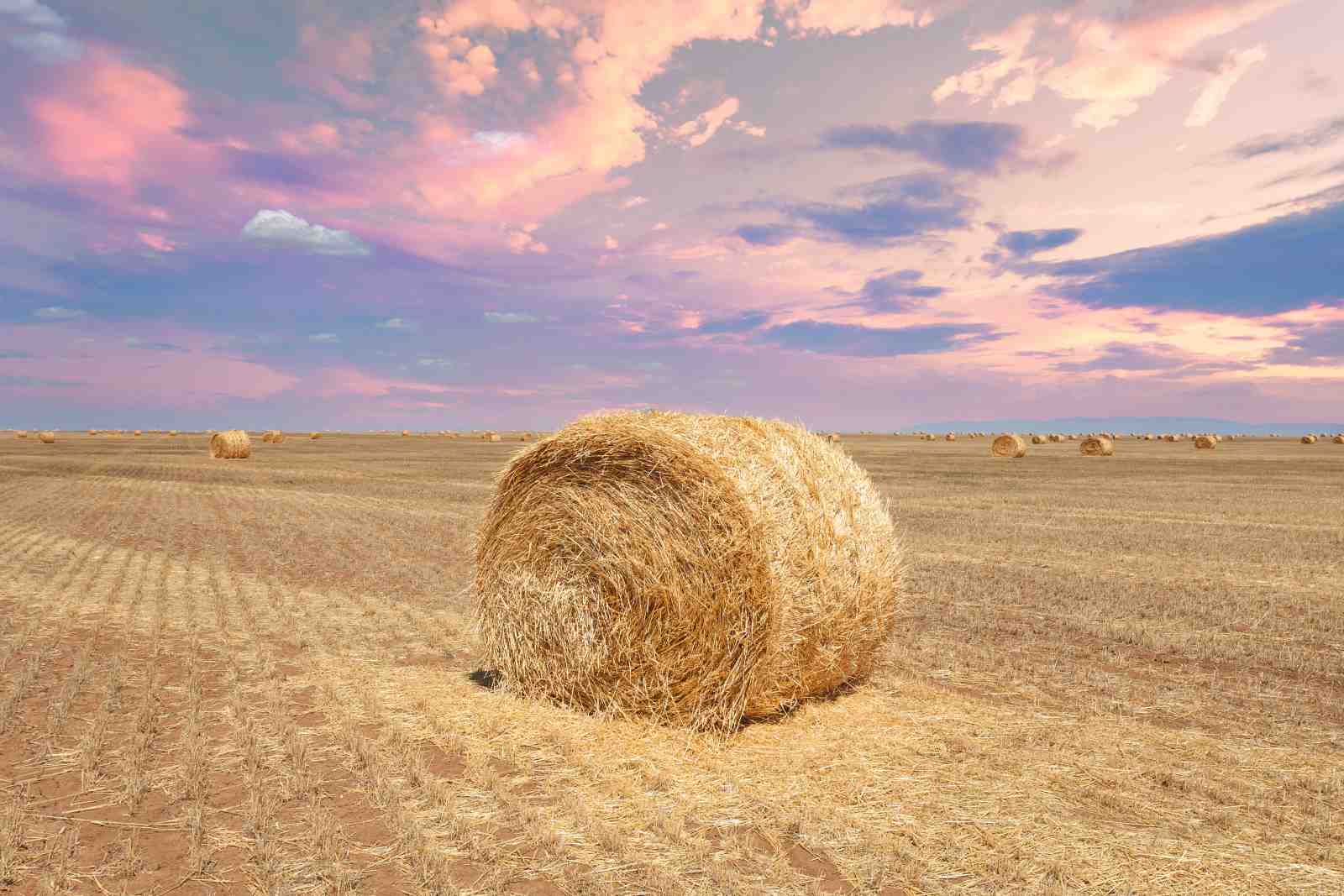 Golden Hay Bales Sunset Landscape Wall Art