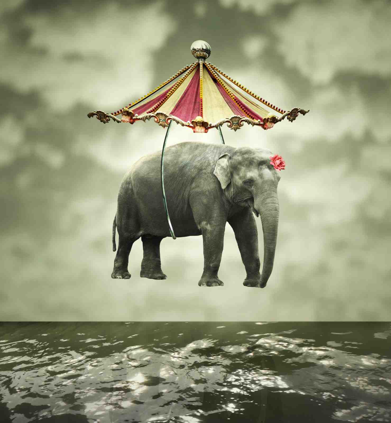 Whimsical Elephant Sky-High Circus Wall Art