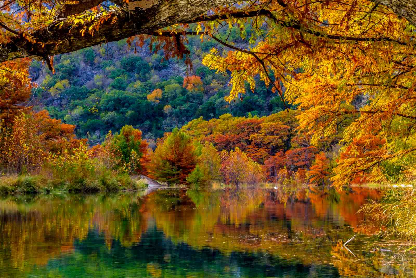 Vibrant Autumn Lake Landscape Wall Art