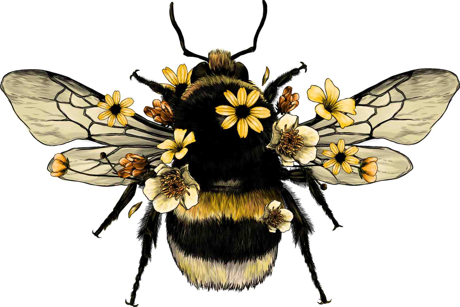 Whimsical Bumble Bee Floral Wall Art