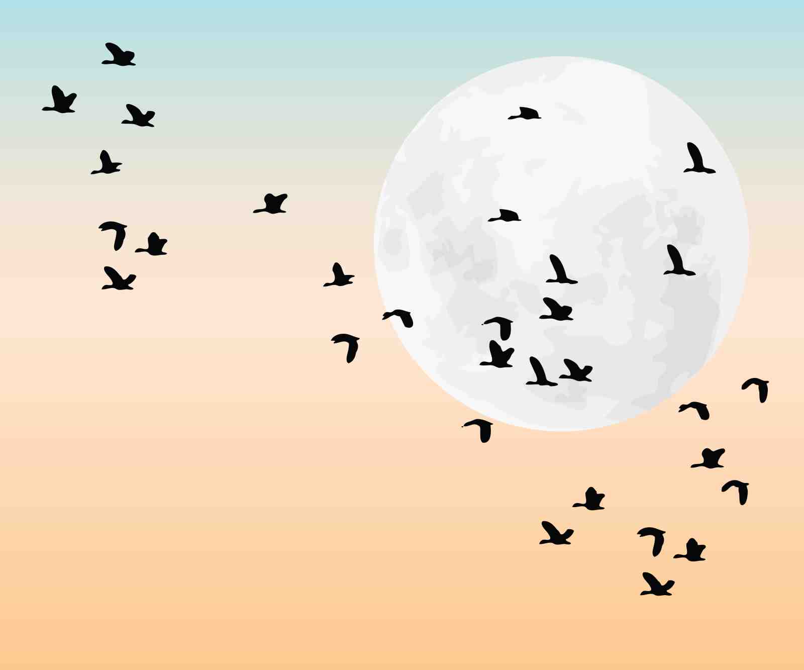 Moonlit Flock Silhouette Wall Art