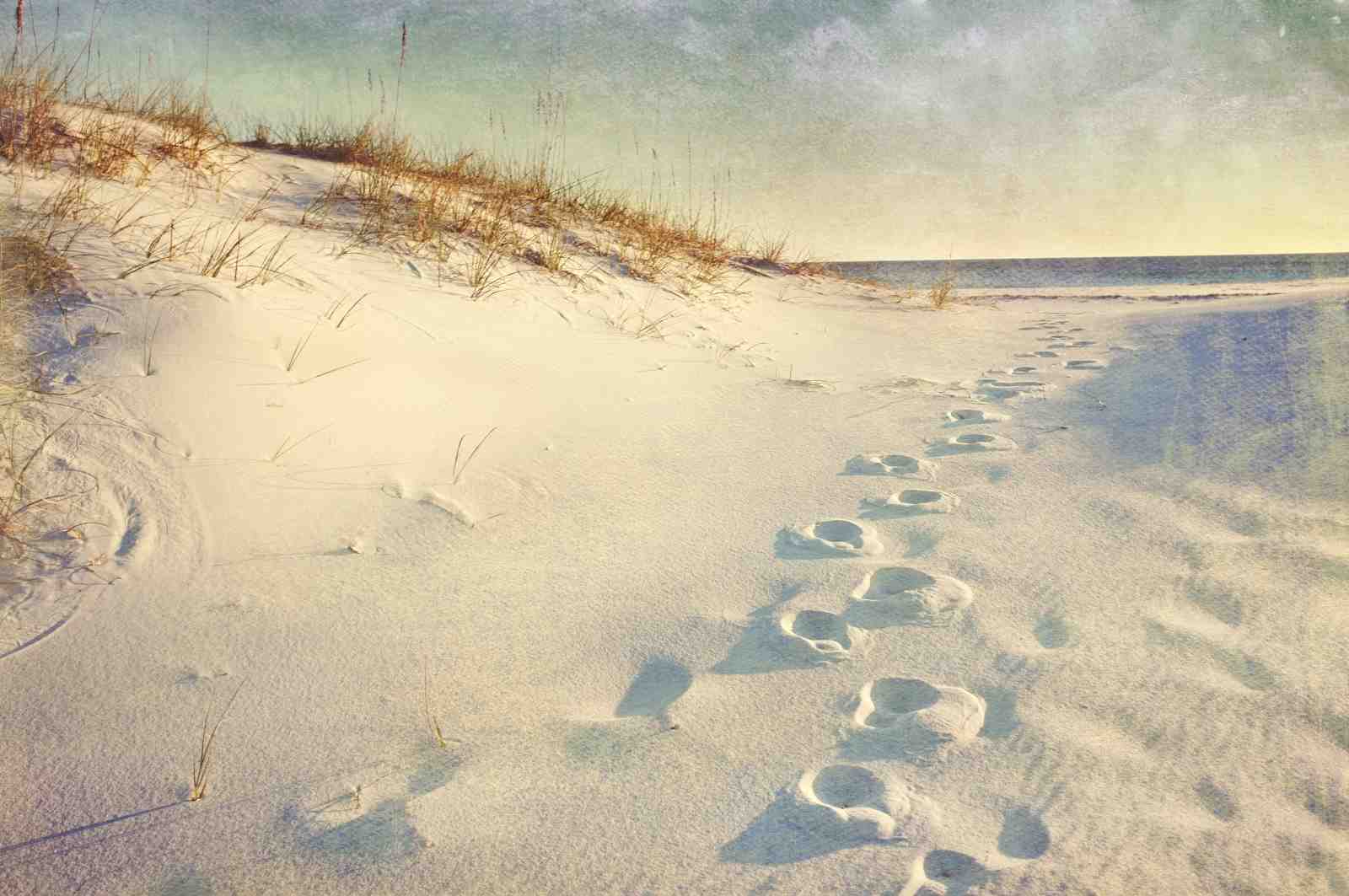 Tranquil Beach Footprints Wall Art