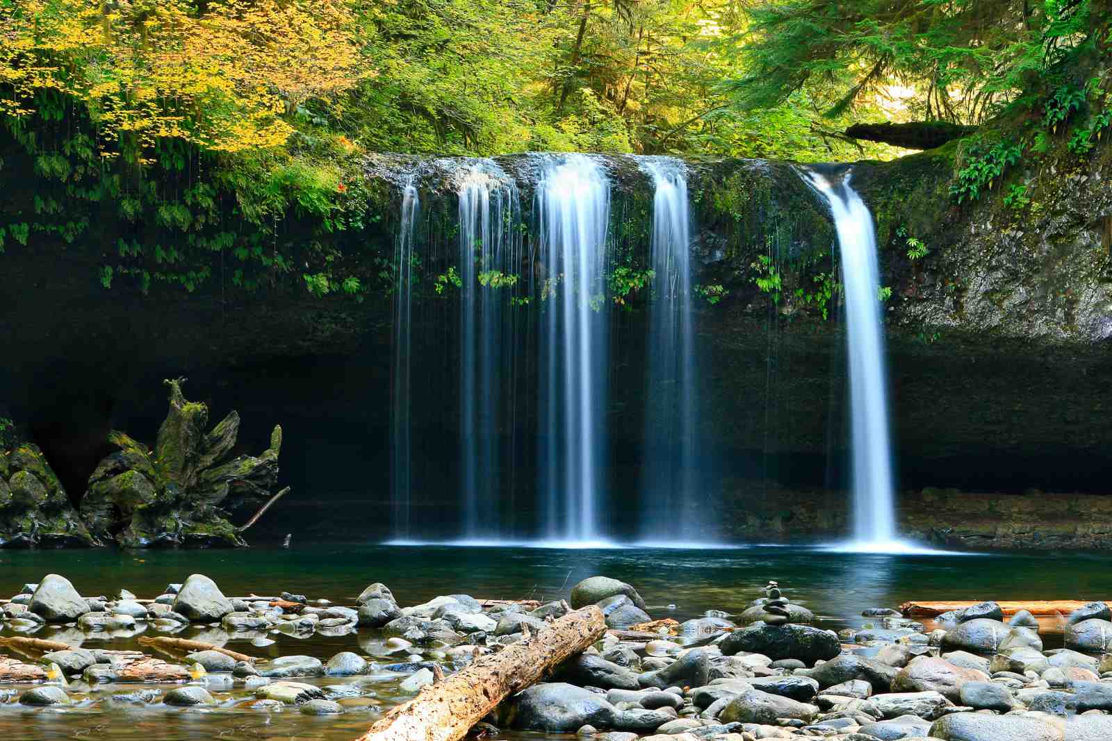 Serene Waterfall Forest Wall Art