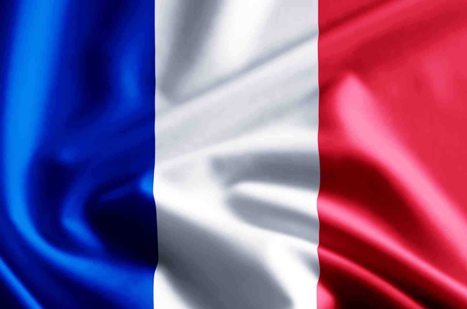 Elegant French Flag Tri-color Wall Art