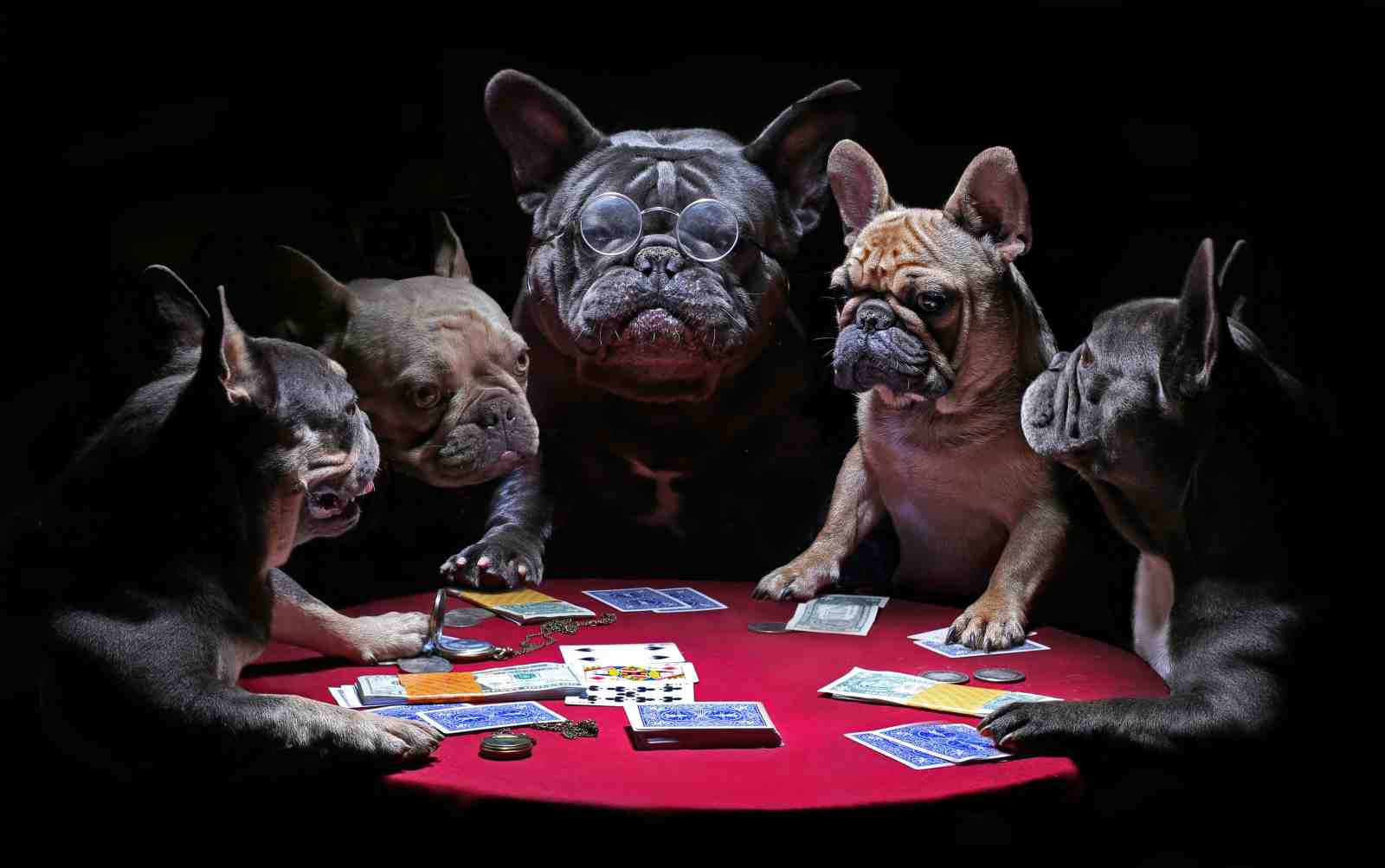French Bulldogs Play Poker Wall Art