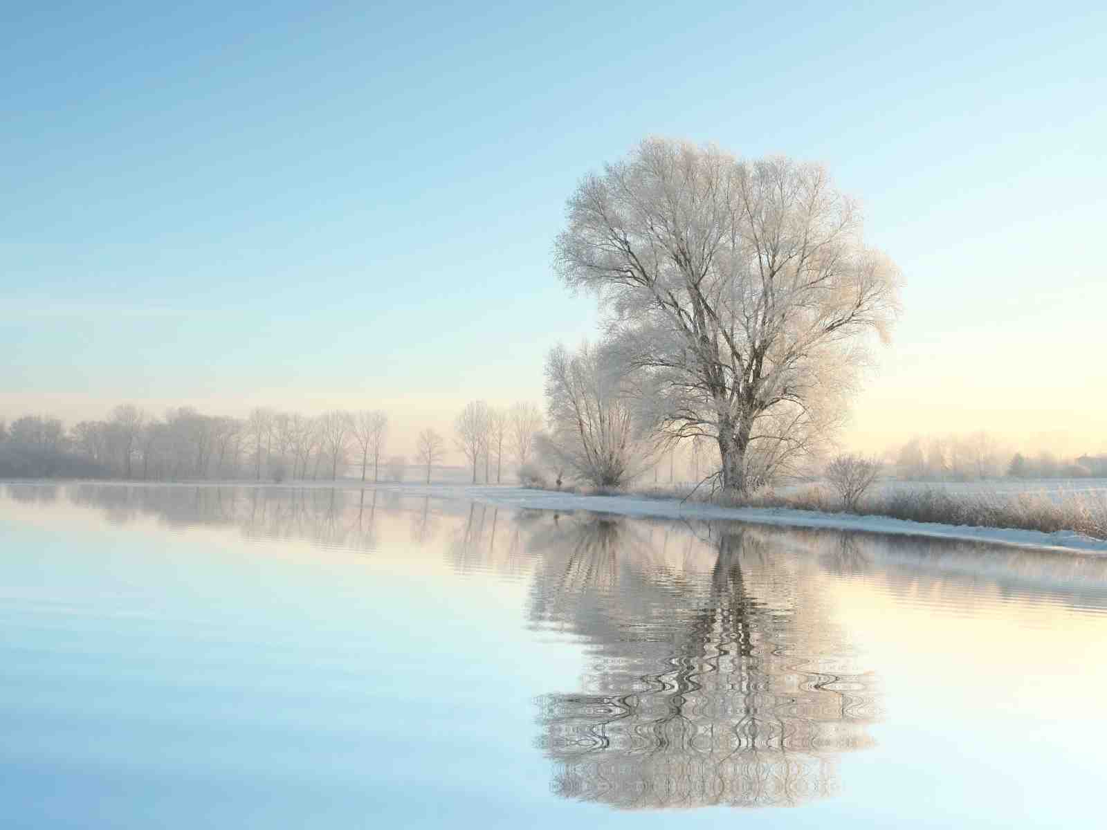 Serene Winter Landscape Wall Art