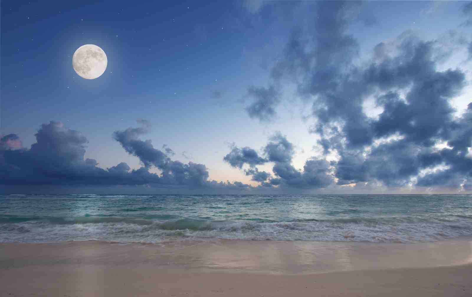 Moonlit Ocean Beach Calm Wall Art