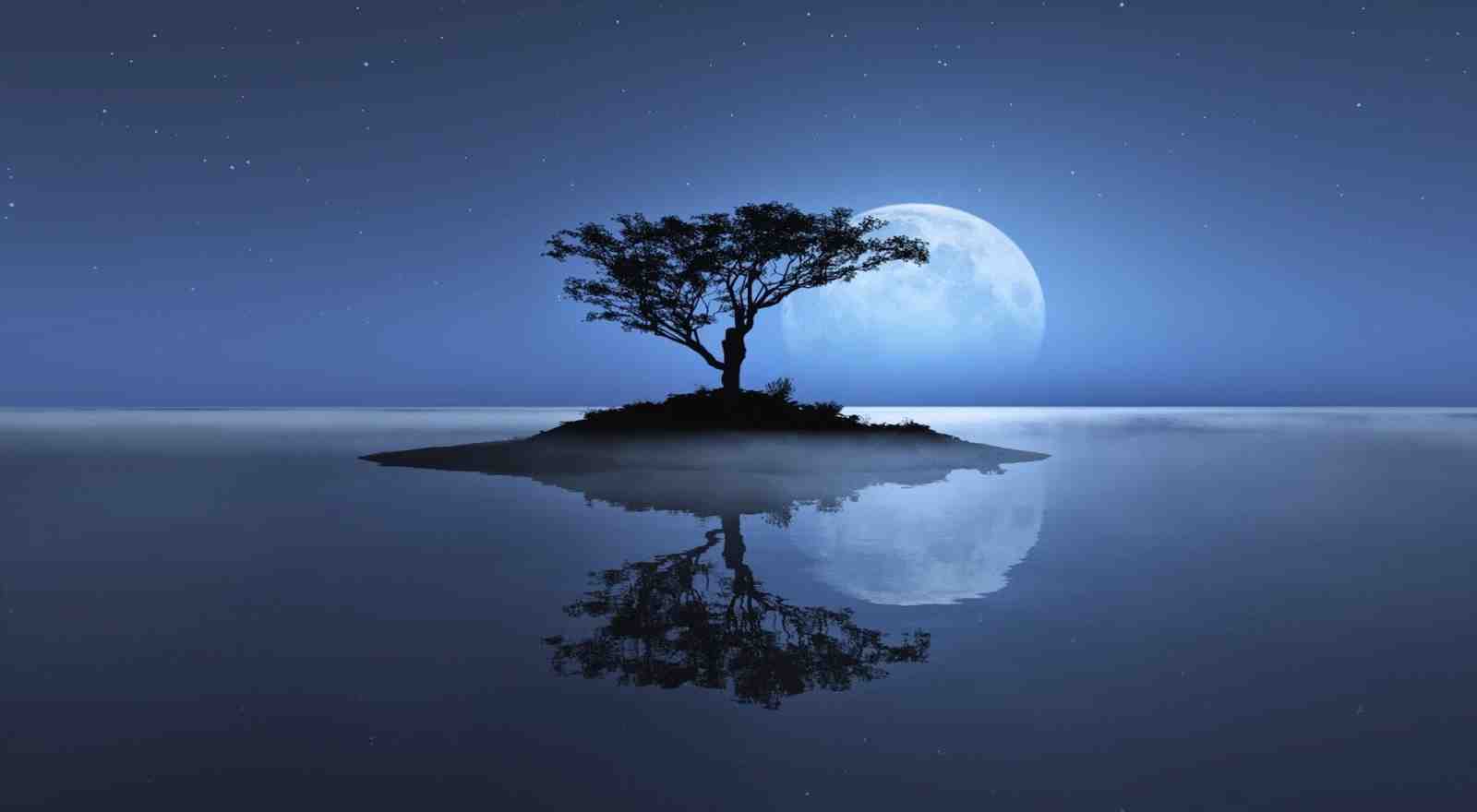 Serene Moonlit Tree Island Wall Art