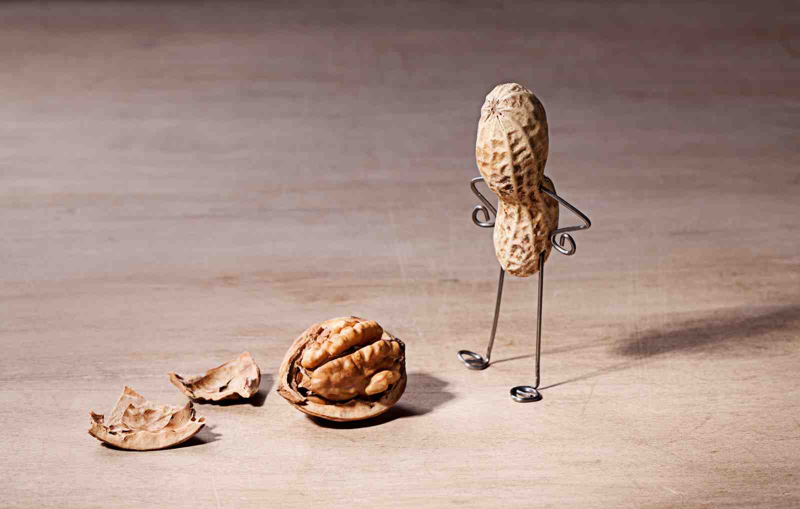 Whimsical Nutty Friends Wall Art Wall Art