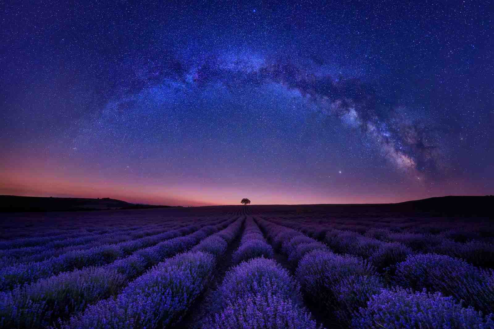 Milky Way Lavender Field Serenity Wall Art